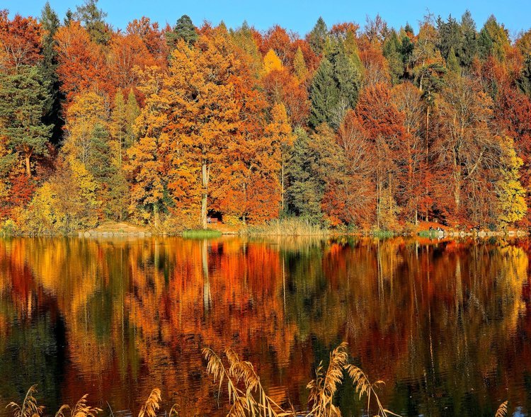 Vibrant fall foliage at a Pennsylvania lake.