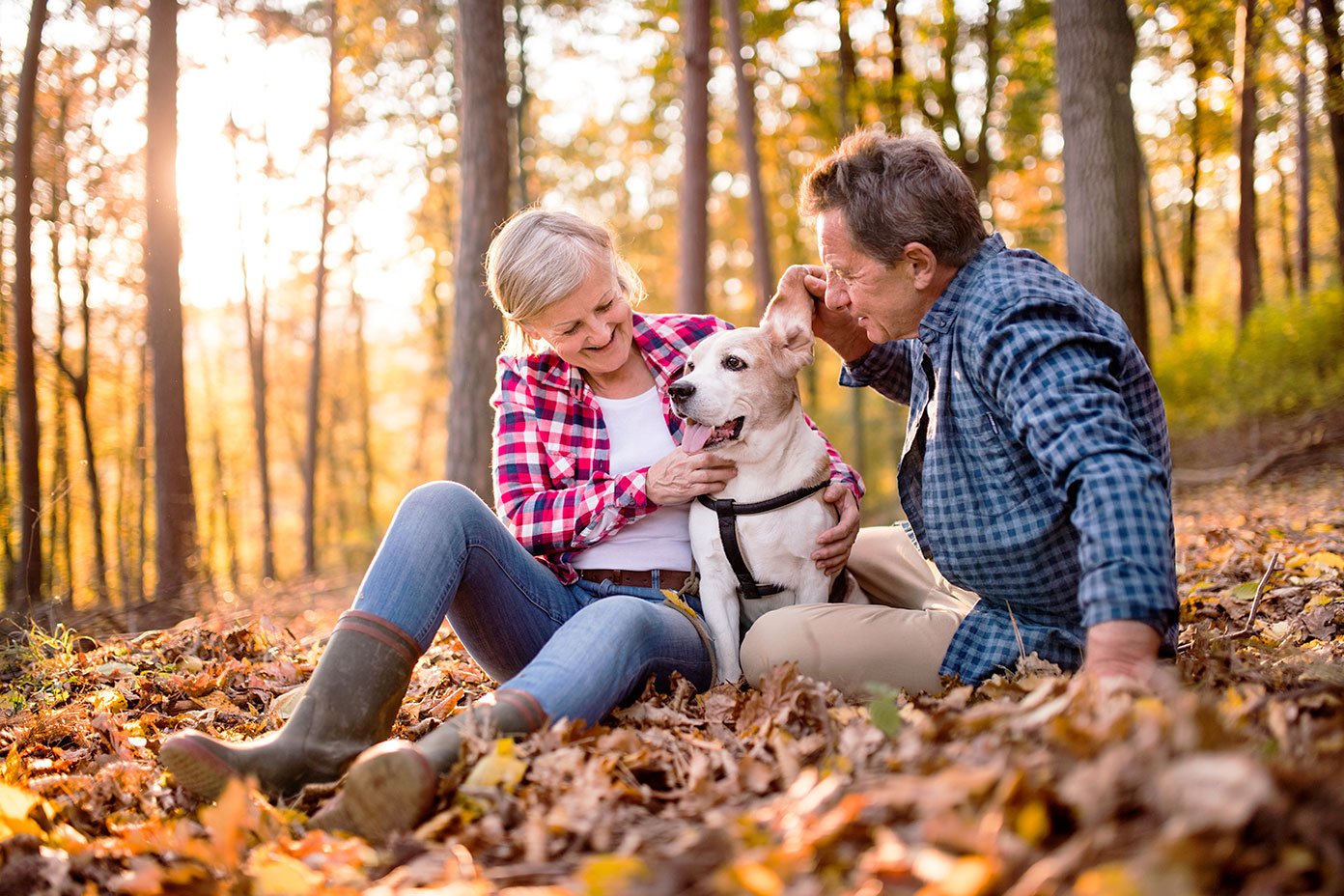 Retired couple sitting in the woods with their dog.