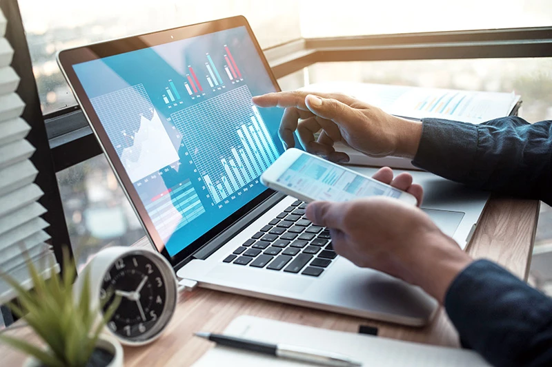 Financial advisor using a software program on their laptop computer.