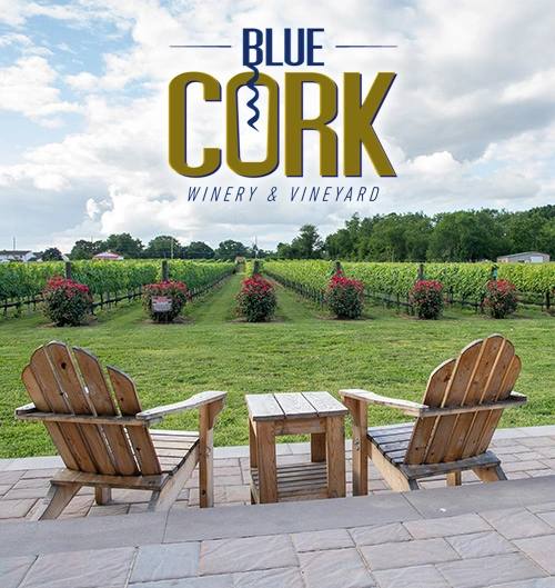 Seating looking over the vineyard at Blue Cork Winery and Vineyard in Williamstown, New Jersey.
