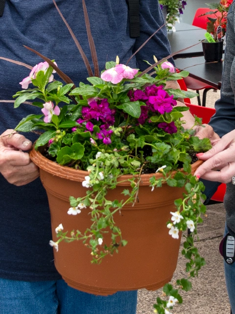 Floral planter.