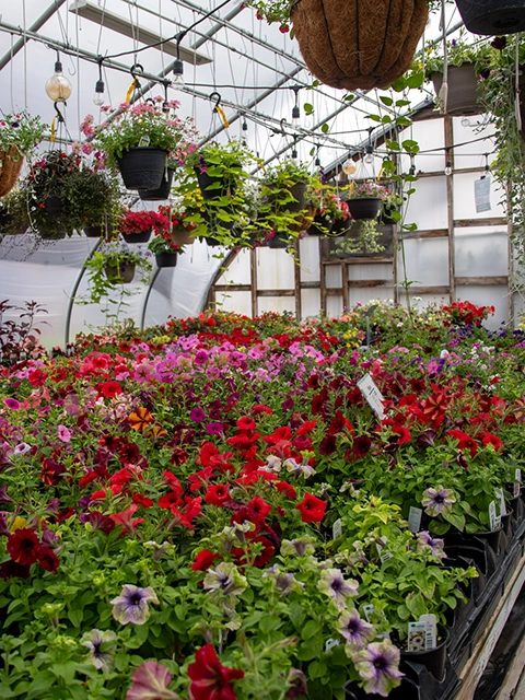 The Potting Bench greenhouse.